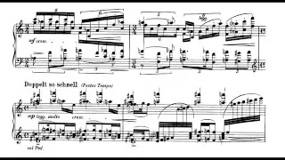 Franz Schreker ‒ Kammersymphonie Arr. for solo piano