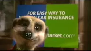 Official Compare the Meerkat Advert by Aleksandr Orlov