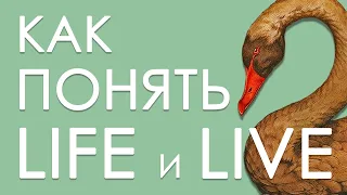 Live или Life - разбираем нюансы английских слов | Примеры | Английский для взрослых