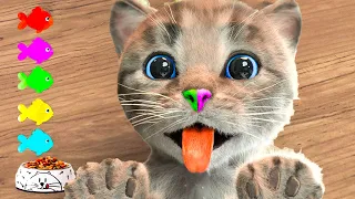 LITTLE KITTEN ADVENTURE   BEST FUNNY KITTY ANIMATED CAT ON AN ADVENTUROUS JOURNEY