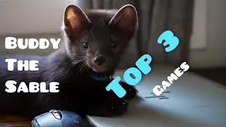 Buddy the sable top 3 games!