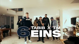 Tabib x TM - 6eins