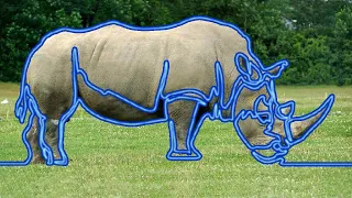 Самый быстрый способ, как одной линией нарисовать носорога. #Shorts