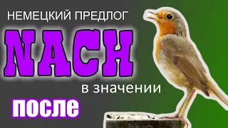 🦜 Немецкий предлог NACH в значении ПОСЛЕ. Примеры употребления.