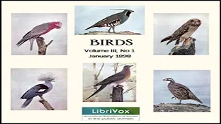 Birds, Vol. III, No 1, January 1898 by VARIOUS read by Various | Full Audio Book