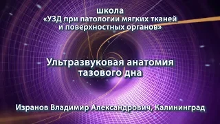 Изранов В.А. — Ультразвуковая анатомия тазового дна