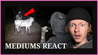 MEDIUMS REACT - Twin Paranormal in DIABLO'S FOREST | KAYS CROSS