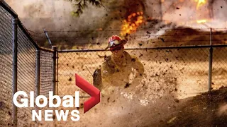 California wildfires: Thousands evacuated as Glass Fire incinerates over 100 homes