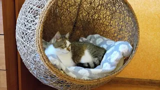 Домик для Кошки из шпагата своими руками!The best do-it-yourself cat house on You Tube.