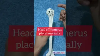 Humerus Bone Side Determination by Eazing #youtubeshorts #shorts