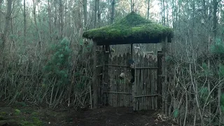 My Woodland Kingdom #1 Building my wooden gate ! bushcraft skills outdoor life
