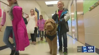 TRENDING NOW: Kid hugs pizza guy, student service dog