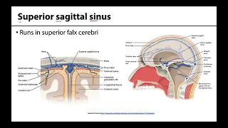 Dural Venous Sinuses - M1 Learning Objectives