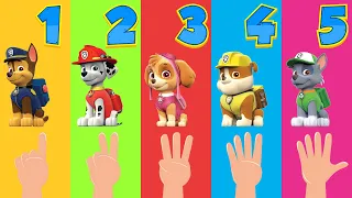 PAW Patrol: Learning to count numbers from 1 to 10 with your fingers