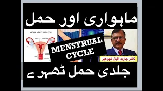 2. (صحت کے عمومی مسائل) MENSTRUAL CYCLE  & PREGNANCY  (ماہواری اور حمل)  EARLY PREGNANCY (جلدی حمل)