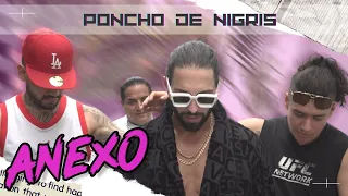 Anexo Poncho De Nigris / Christian Meza