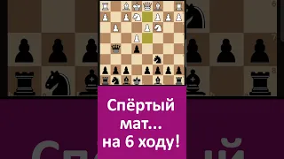 Как поставить спёртый мат на 6-м ходу!! #shorts #chess #шахматы #шахматыонлайн