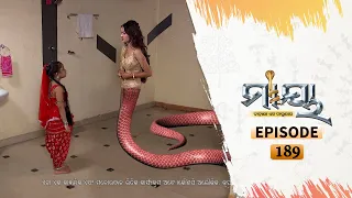 Maya | Full Ep 189 | 16th Nov 2020 | Odia Serial – TarangTV