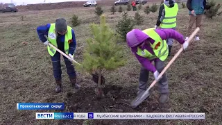 Группа компаний «ТАЛТЭК» готовится к встрече Дня Победы: стартовало несколько патриотических акций