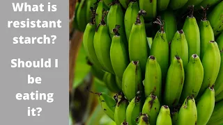 What Is Resistant Starch?