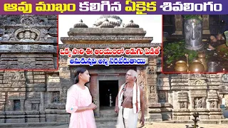 ఆవు ముఖం తో స్వయంభూ వెలసిన ఏకైక శివలింగం ||History Of Srimukalingam ||Sun8Tv||