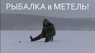 ОТКОПАЛ ЛУНКУ И ПОНЕСЛОСЬ! / РЫБАЛКА В МЕТЕЛЬ!