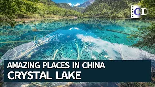 Crystal Clear Water in Jiuzhaigou | Amazing Places in China