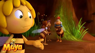 What are we looking for again? - Maya the Bee🐝🍯🐝