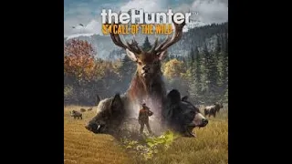 JUGANDO THEHUNTER CALL OF THE WILL