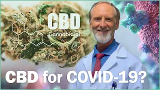 CBD to Treat Covid-19 - Does it Work?