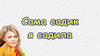 Сама садик я садила (русская народная песня)