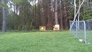 My Traditional aiming technique