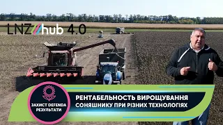 Рентабельность вирощування соняшнику при різних технологіях  | LNZ Hub 4.0