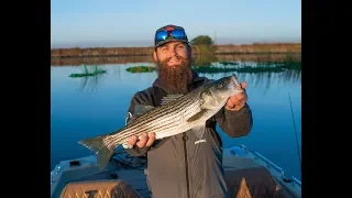 Fall Delta Stripers and Farallon Island Rock Fish River2Sea