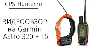 Видеообзор на GPS  ошейник Garmin Astro 320