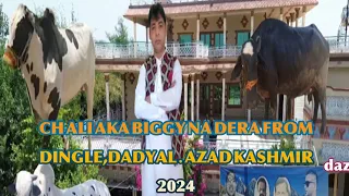VIDEO & DRONE VIDEO OF CH ALI AKA BIGGY NA DERA FROM DINGLE,DADYAL,AZAD KASHMIR 2024