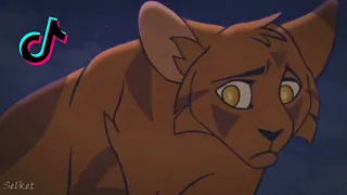 WARRIOR CATS TIKTOK COMPILATION //Part 4