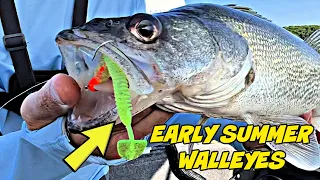 Fish a Jig & Plastic Like a PRO! (Early Summer Walleyes)