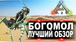 Богомол (Mantis) в АРК. Лучший обзор: приручение и способности  в ark.