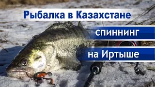 Рыбалка в Казахстане - Спиннинг на Иртыше.