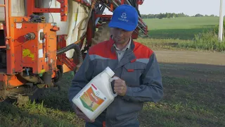 Почему МайсТер Пауэр лучший гербицид по кукурузе? Опыт агронома