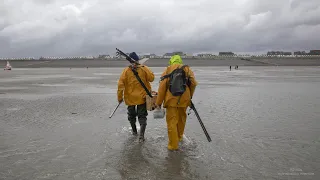 Pour pêcher le bar à Cayeux-sur-Mer, on attend le gros temps !