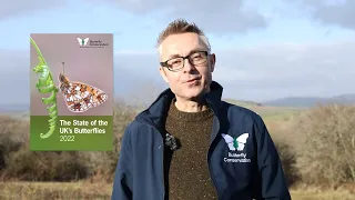 The State of the UK's Butterflies 2022 Report