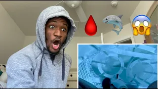 THIS IS INSANE!!..... Shark Attack Test- Human Blood vs. Fish Blood Reaction
