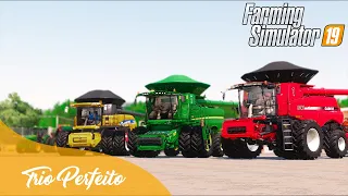 COLHENDO A CANOLA PARA REPLANTAR A CANA | FAZENDA FORTALEZA | Farming Simulator 19 - Logitech G27