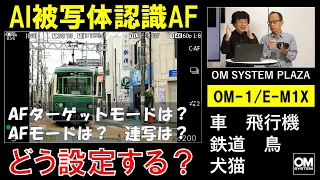 《OM SYSTEM PLAZA》「AI被写体認識AF」AF・連写はどう設定すればいいですか？