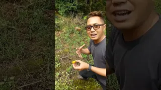 PENEMUAN SEPATU BANGSA KURCACI #beritaviral #viral #heboh #unik #horor #prank #hiburan