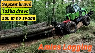 Logging 300 meters up the slope and another 1 km to the wood dump, Amles, Stihl, Forestwork, Skidder