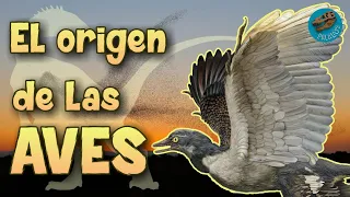 El Origen de las Aves