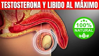 14 Alimentos para Impulsar la Testosterona y Turbinar la Libido | CUERPO MUSCULOSO